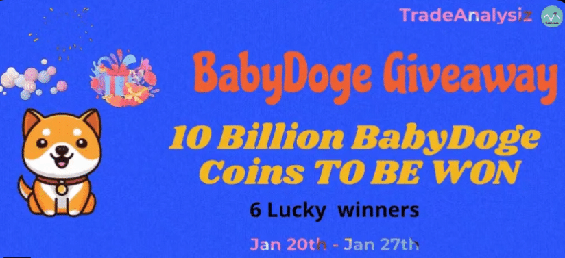 Win 10 Billion Baby Doge Coin Giveaway