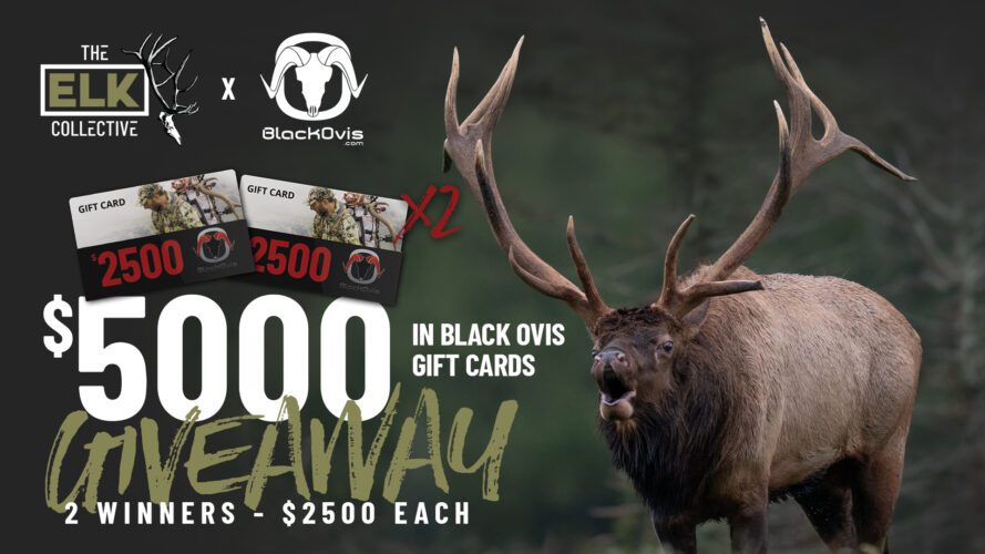 Win $5000 Gift Card Giveaway for 2 Winners | BlackOvis