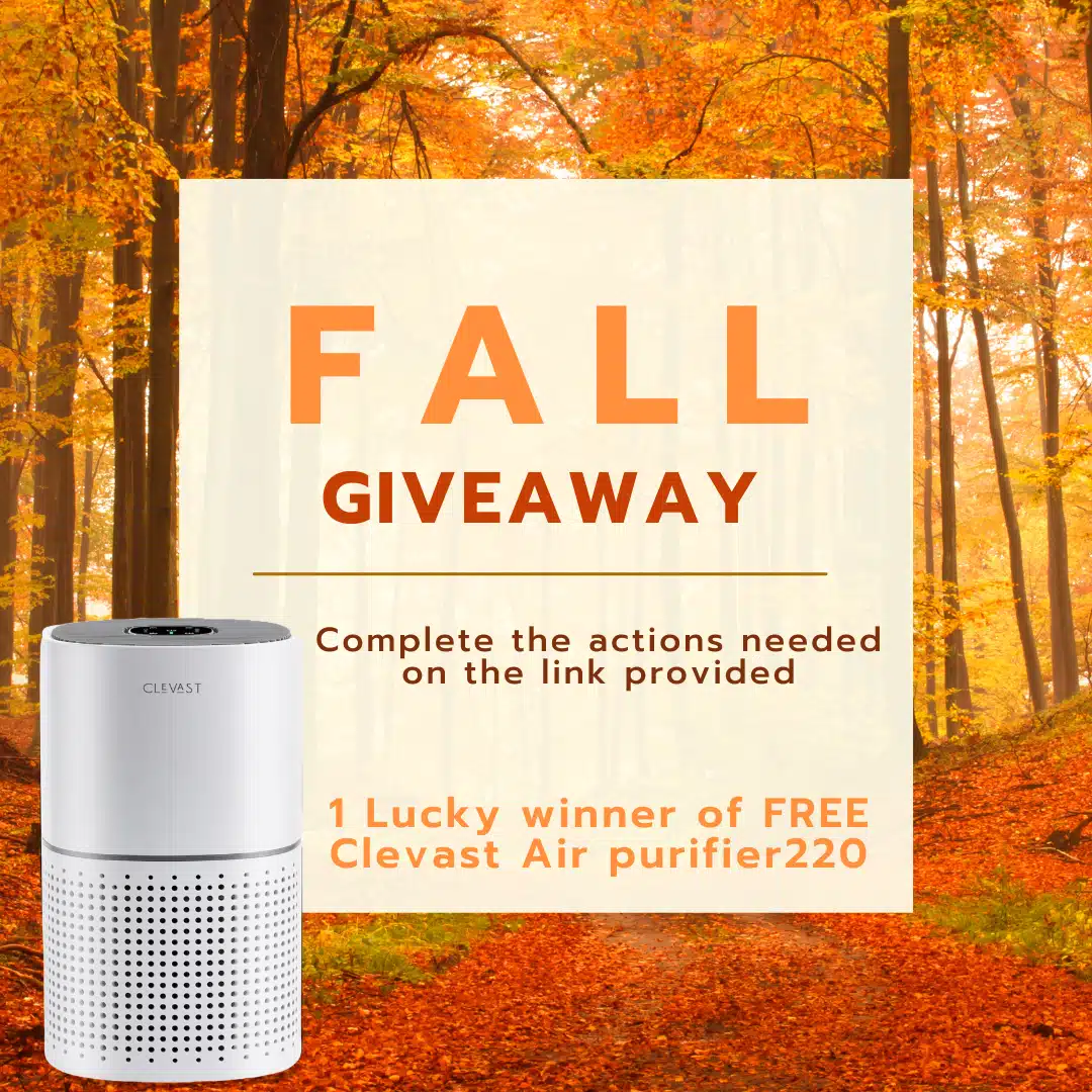 Win Clevast Air Purifier - Fall Giveaway
