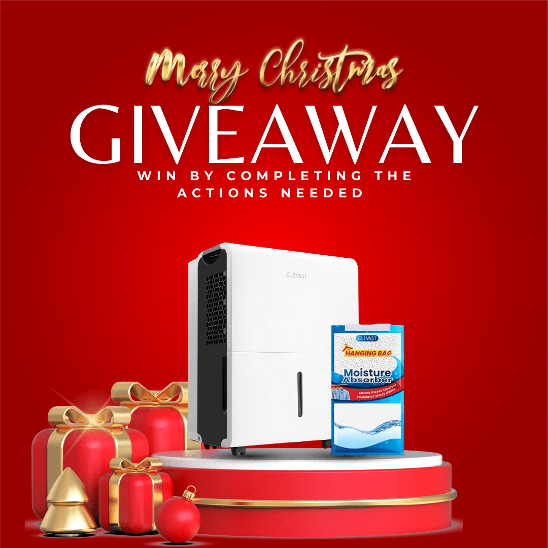 Merry Christmas Giveaway from Clevast!