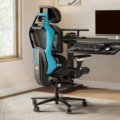 Spvwvky X Eureka Ergonomic Typhon Hybrid Chair Giveaway