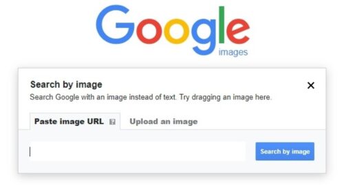 searching by image